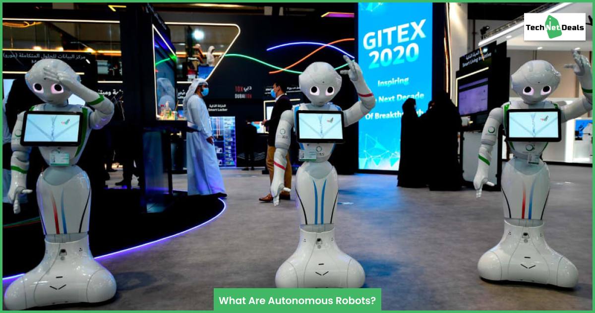 What Are Autonomous Robots