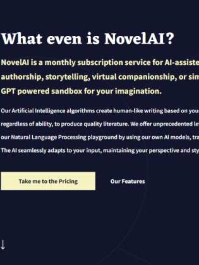 NOVEL AI MODELS intelligence overview